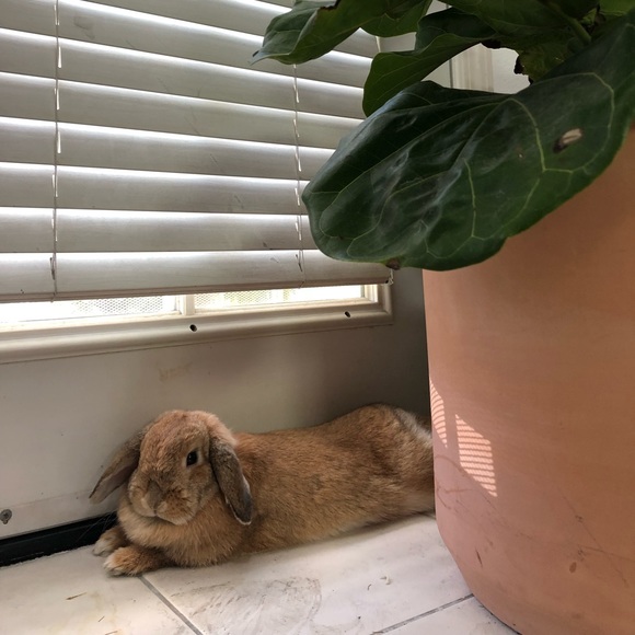 --Meet your seller-- - Picture 2 of 3